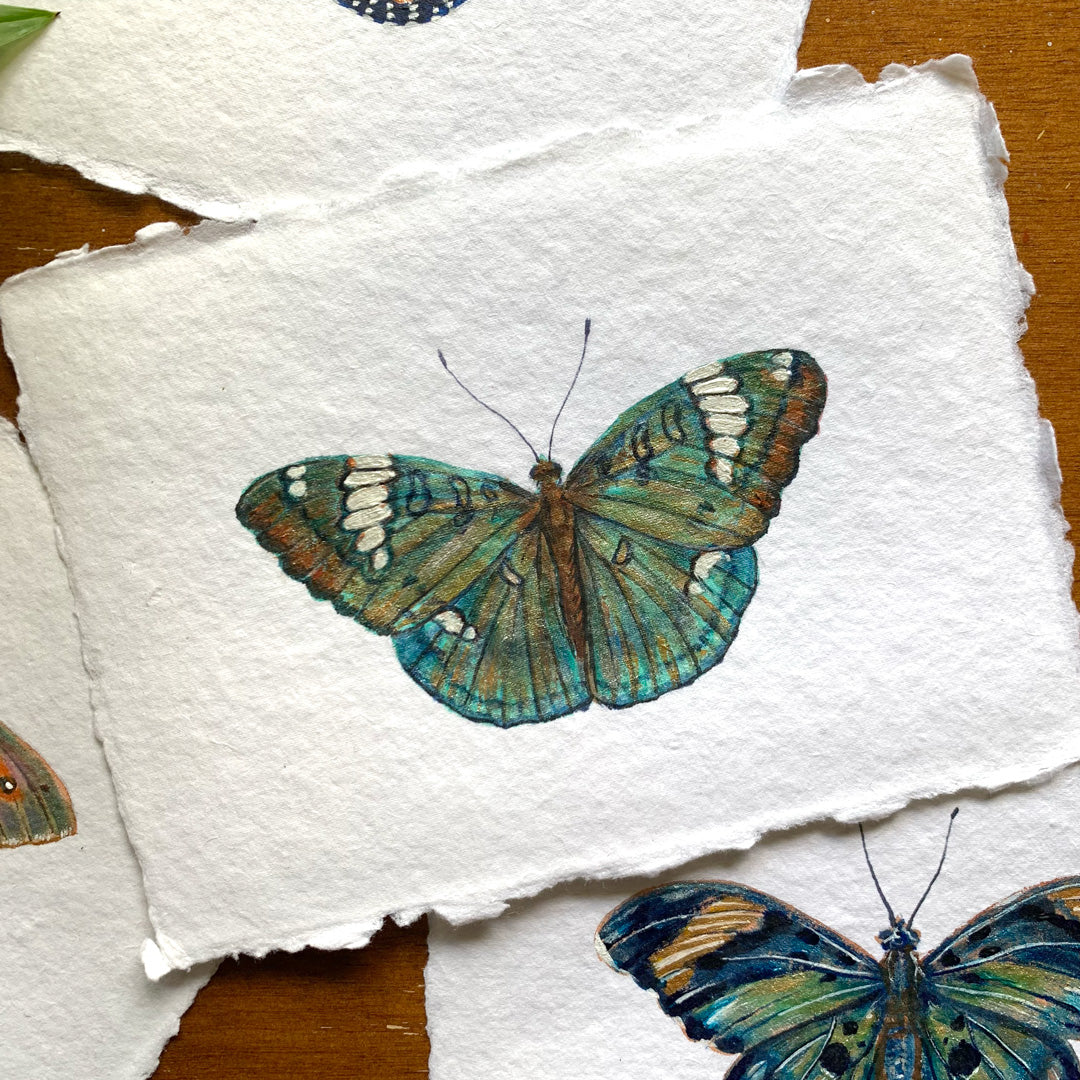 green grand duchess butterfly painting