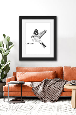 great grey shrike bird art print wall art
