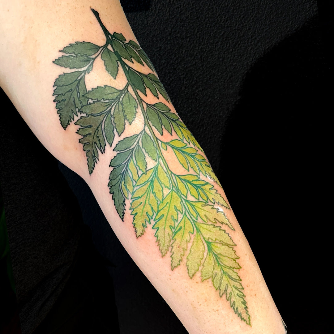 green ombre fern tattoo by Cass Brown