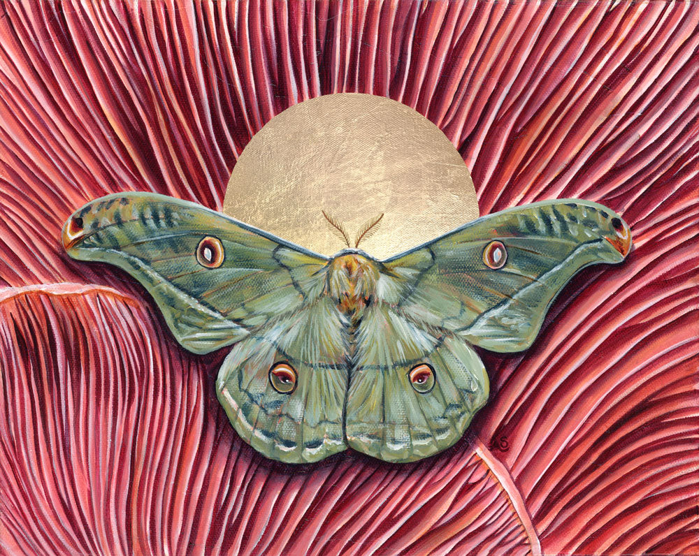 &#39;Harmony&#39; copaxa lavendera green moth pink mushroom art print