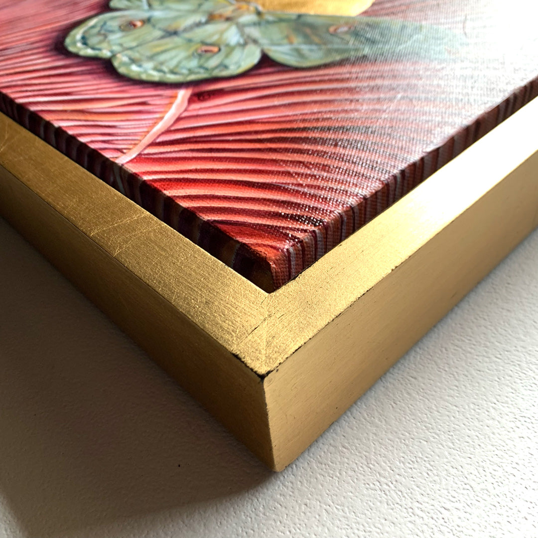 copaxia lavendera green moth mushroom painting in gold float frame detail
