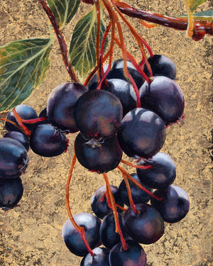"Life Needs Death" Hawthorn Berry Art Print