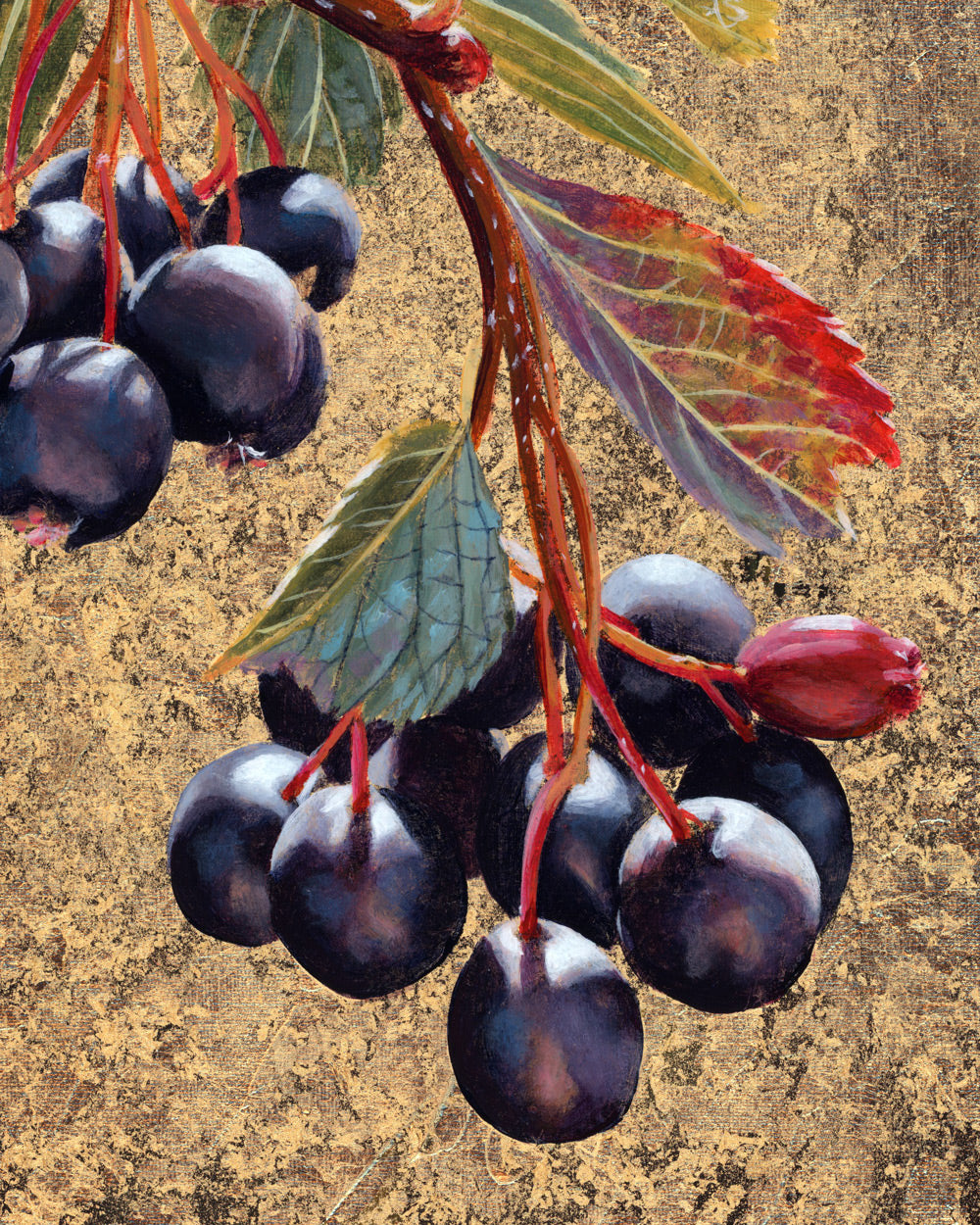 "Lungs Need Breath" Hawthorn Berry Art Print