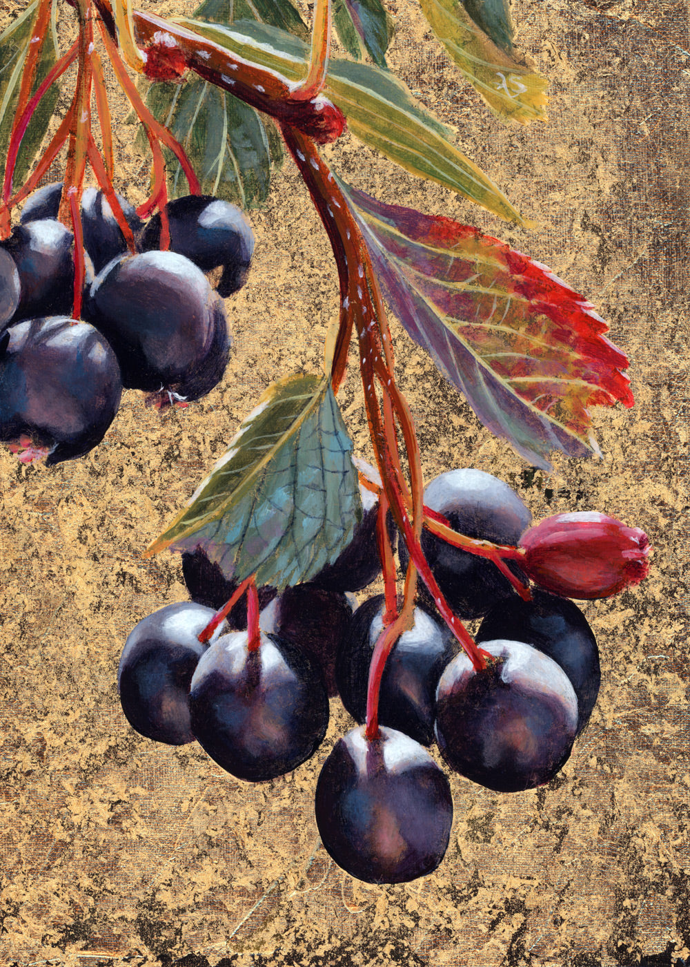 "Lungs Need Breath" Hawthorn Berry Art Print