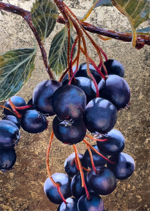 "Life Needs Death" Hawthorn Painting