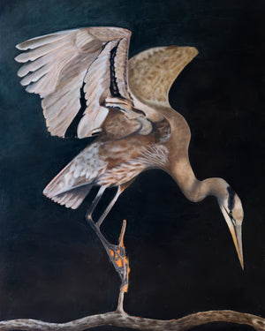 heron art print 4x5 crop