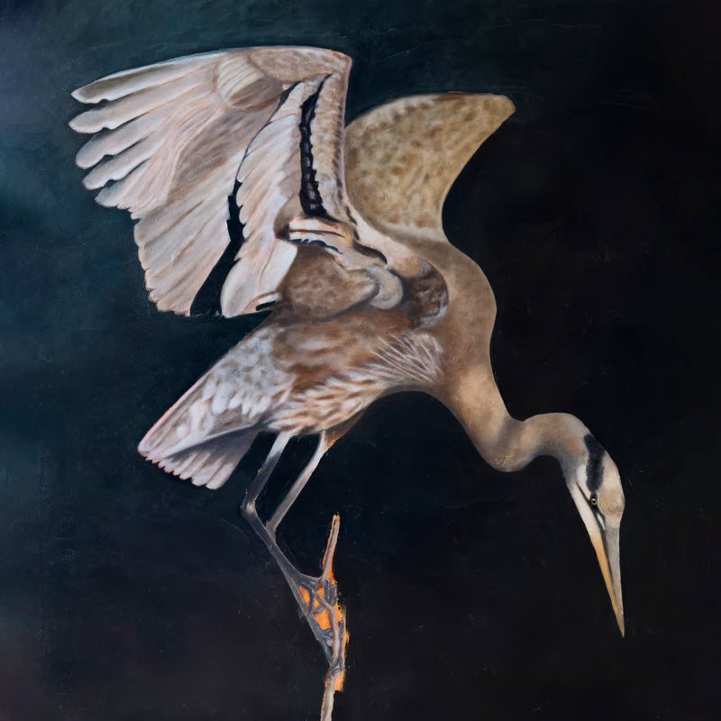 heron painting art by Danny Schreiber