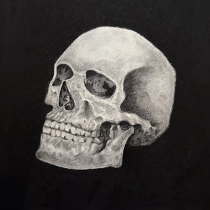 human skull drawing charcoal