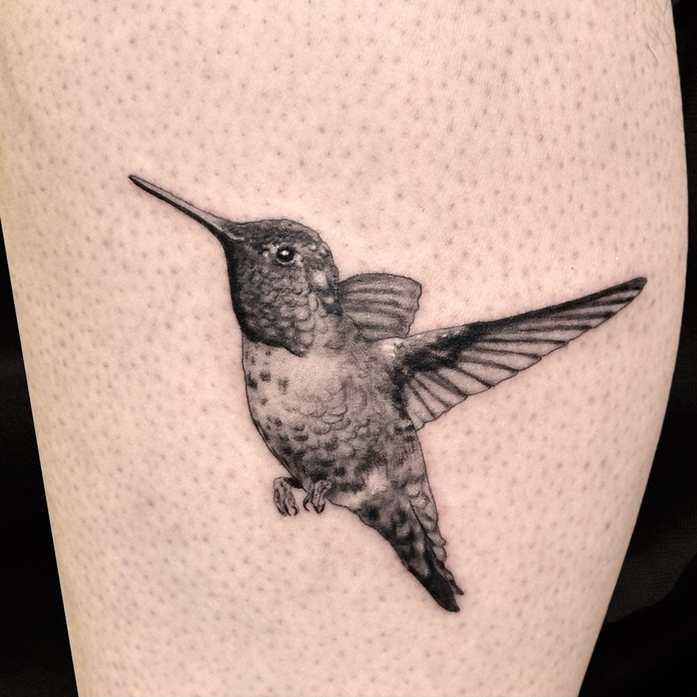 black and gray hummingbird tattoo by Danny Schreiber