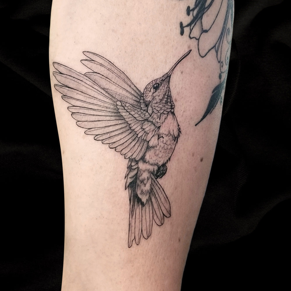 hummingbird tattoo fine line tattoo by Lydia Pitts