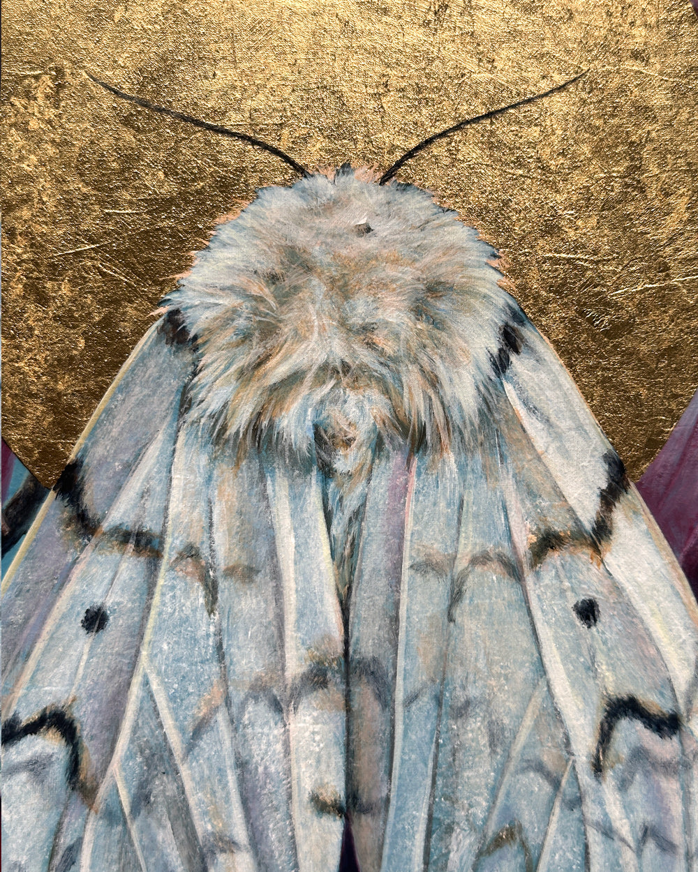 white spongy moth with gold leaf painting detail