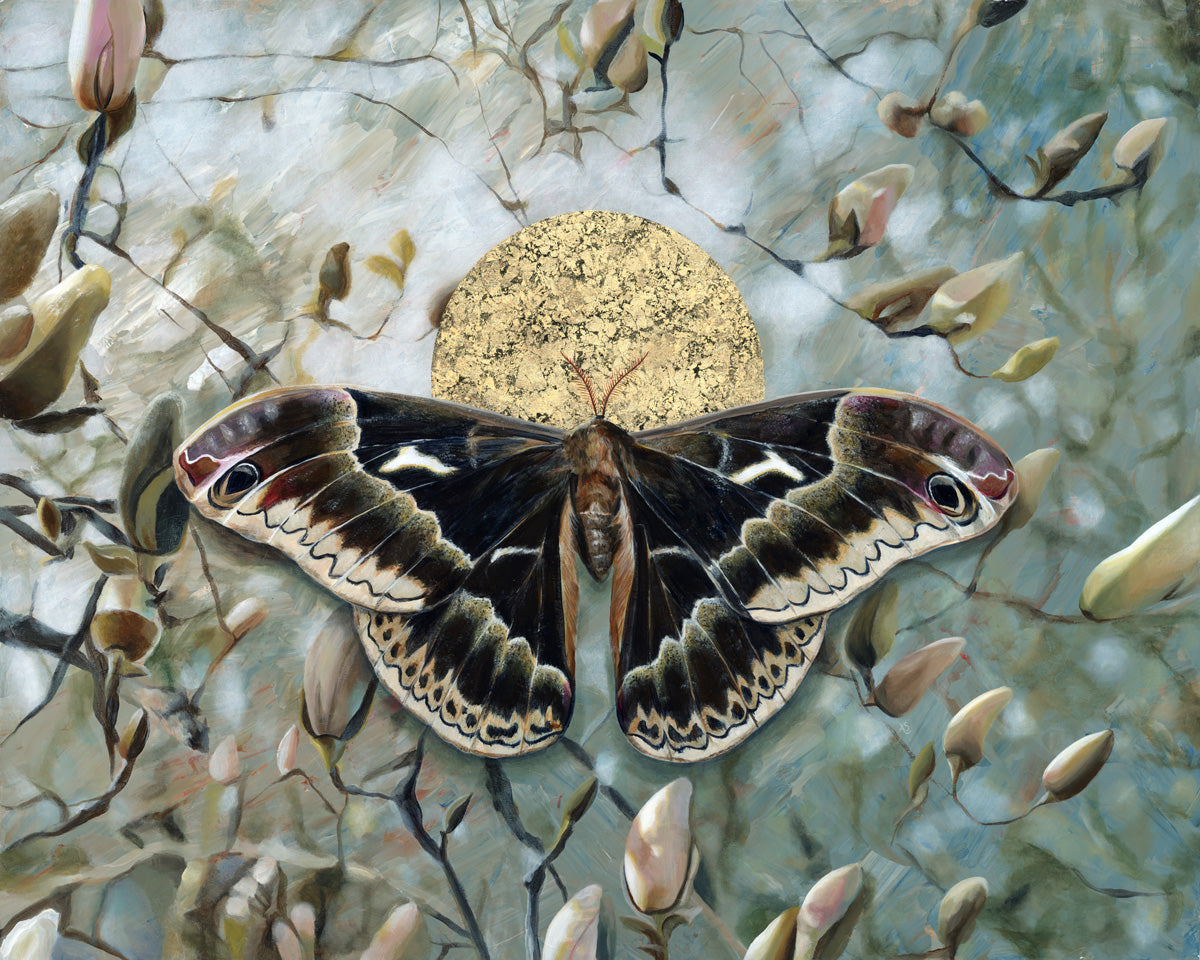 "Incantation" Tuliptree Silkmoth Art Print