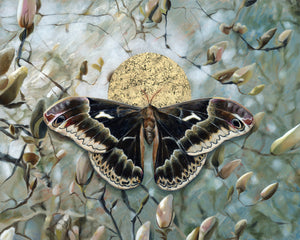 Incantation black moth magnolia art print