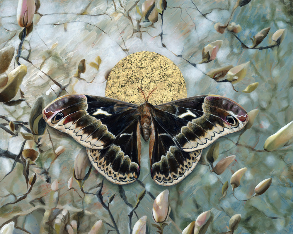black silkmoth and magnolia painting with gold leaf and blue background