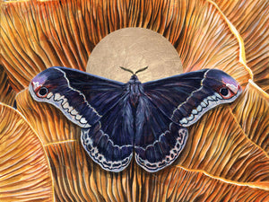 'Integrity' promethea black moth jack o'lantern mushroom art print 30x40 inches