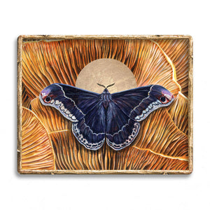 'Integrity' promethea black moth jack o'lantern mushroom art print