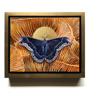 promethea moth mushroom painting in gold float frame