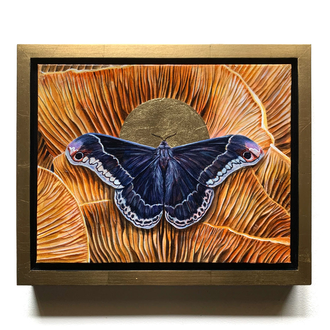 promethea moth mushroom painting in gold float frame