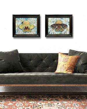 io moth magnolia painting pair hanging on wall