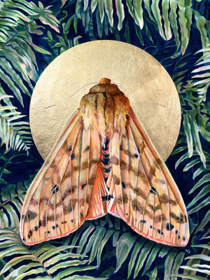 Isabella tiger moth fern art print 3x4 crop