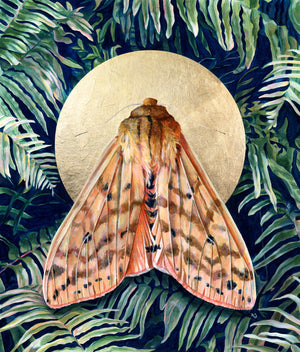 Isabella tiger moth fern art print