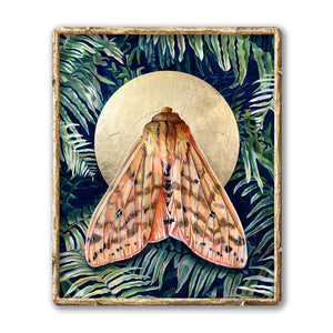 Isabella tiger moth fern art print gold frame