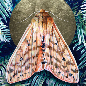 isabella tiger moth painting gold halo detail