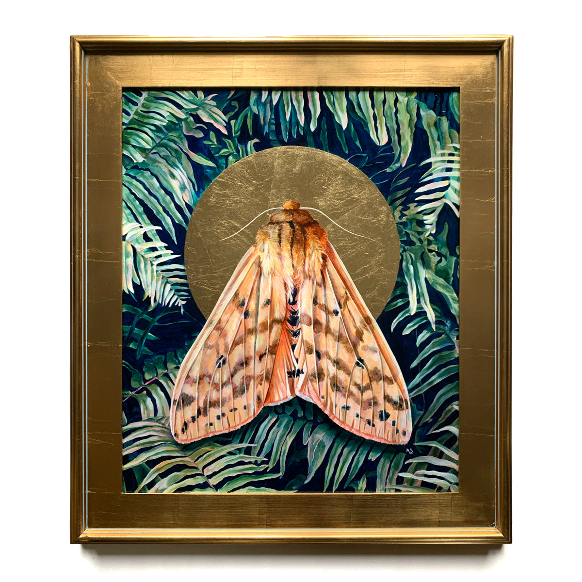 isabella tiger moth painting in gold leaf frame