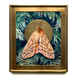 isabella tiger moth painting in gold leaf frame