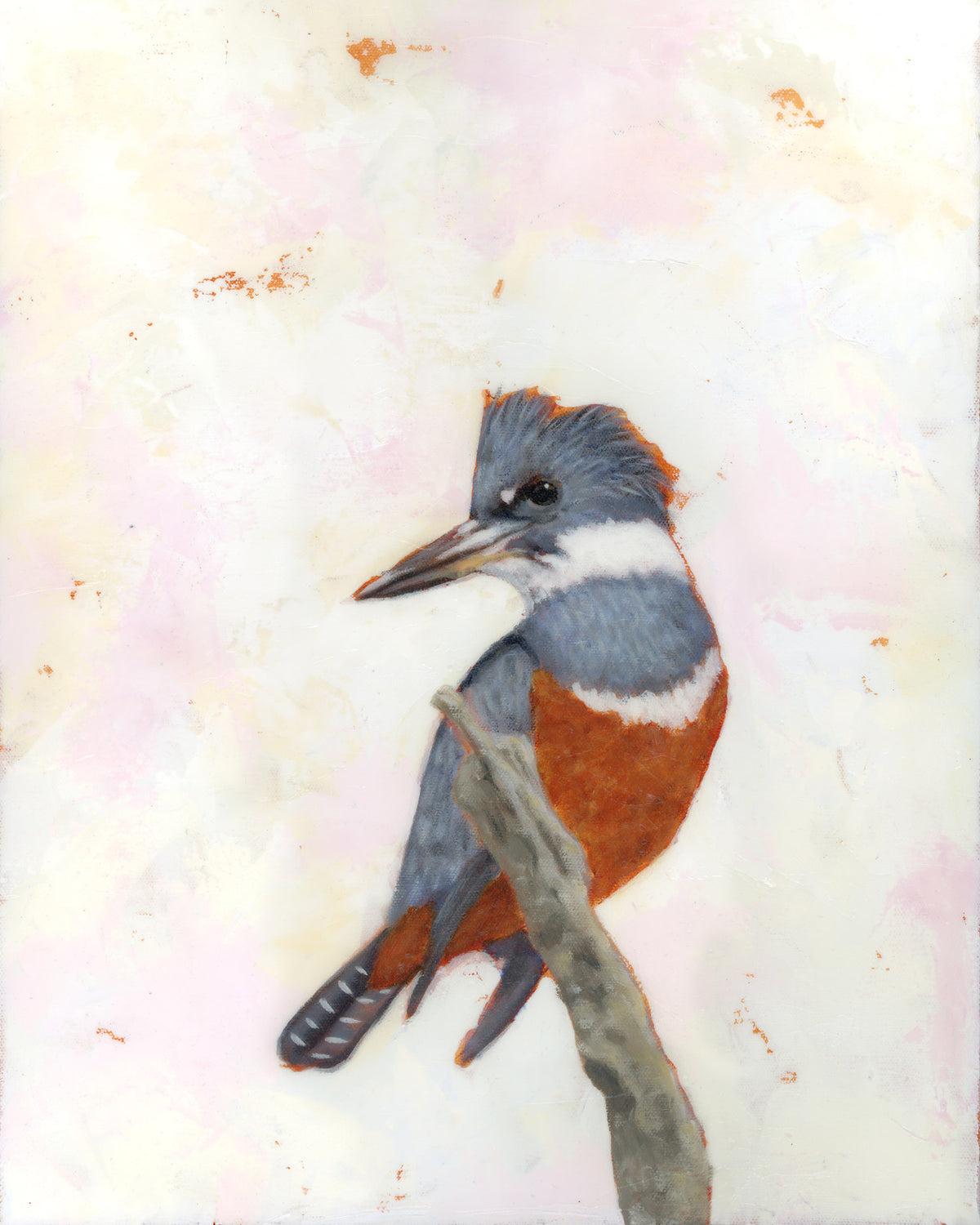 kingfisher art print