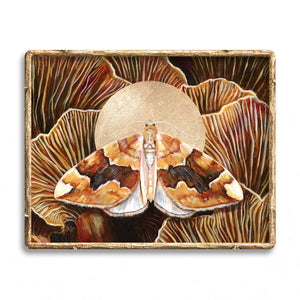 barred yellow moth mushroom art print