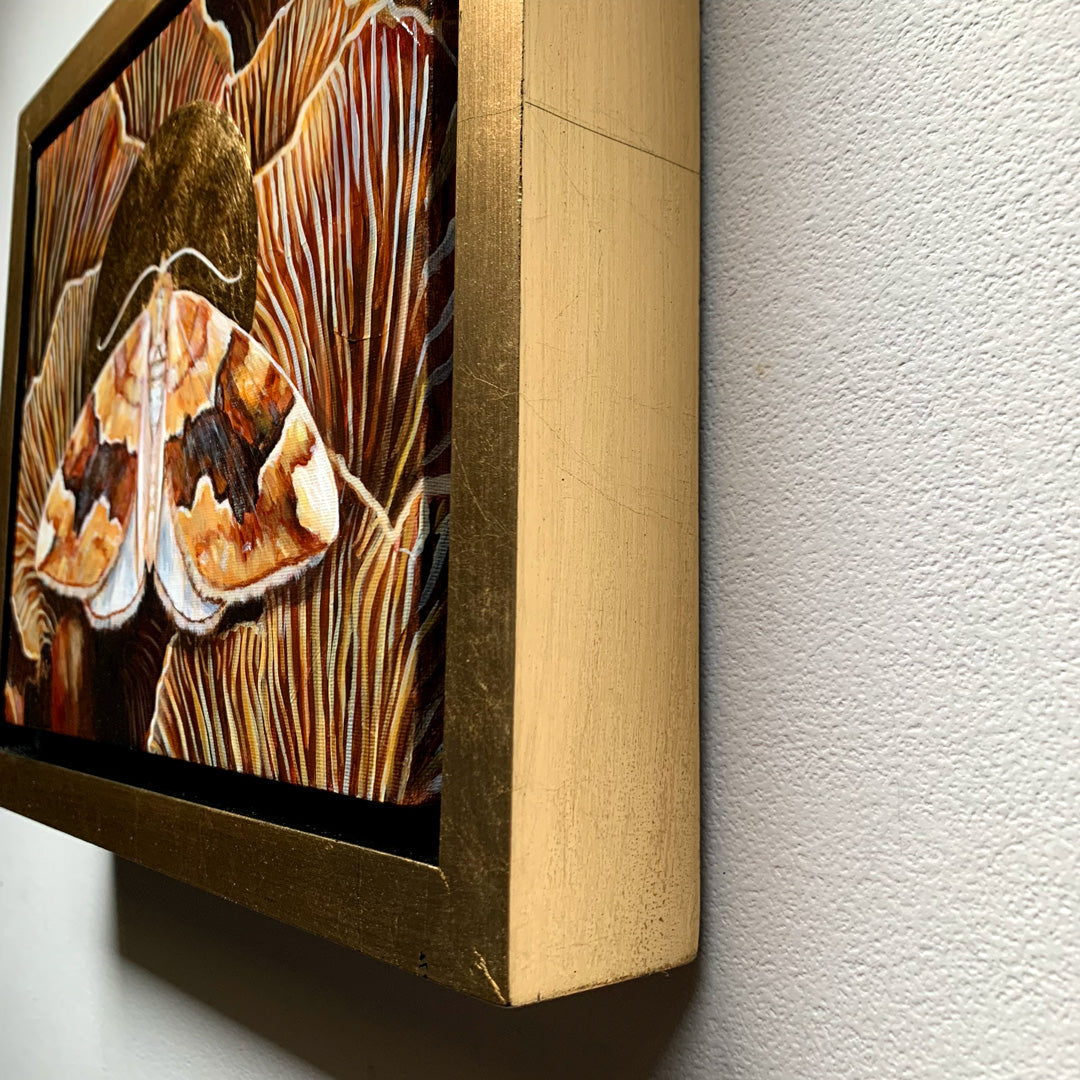 barred yellow moth mushroom painting in gold float frame detail