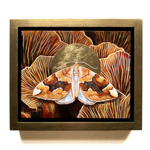 barred yellow moth mushroom painting in gold float frame