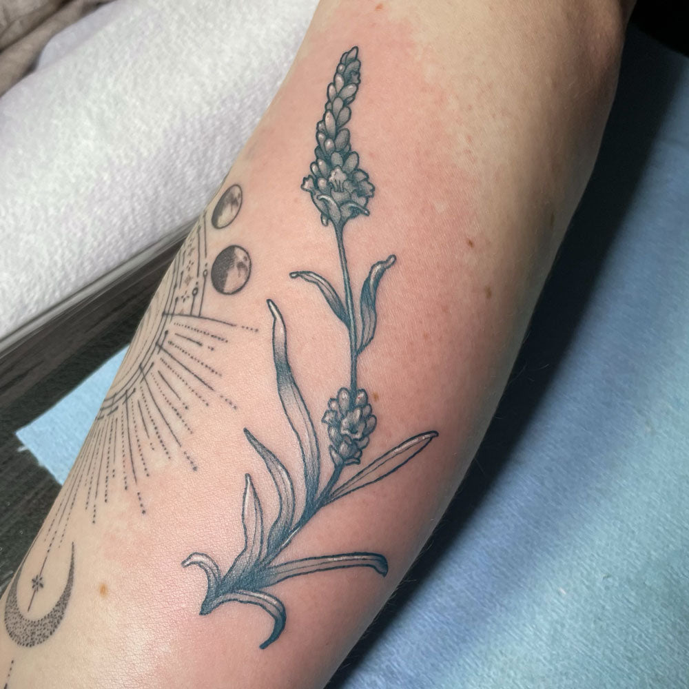lavender sprig tattoo by Cass Brown