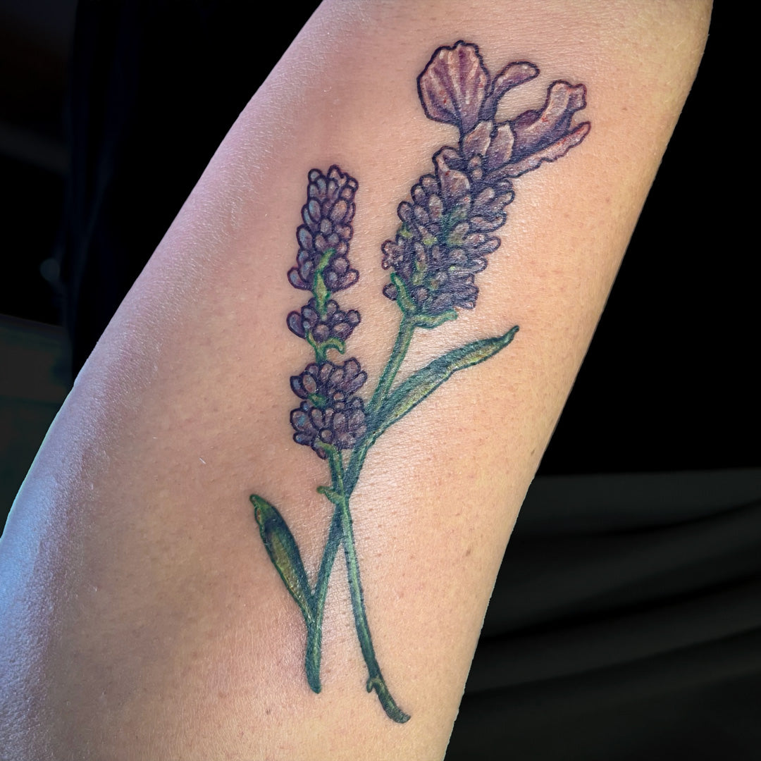 lavender tattoo color by Cass Brown