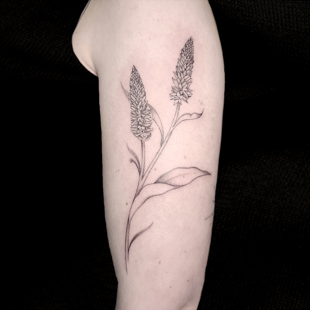 fineline lavender tattoo by Lydia Pitts