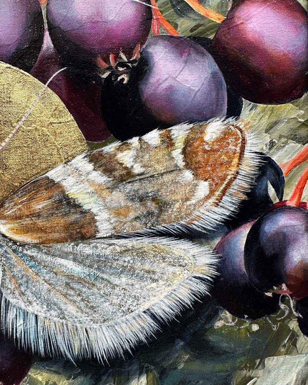 "Life needs life" White Lace Epinotia Moth Painting