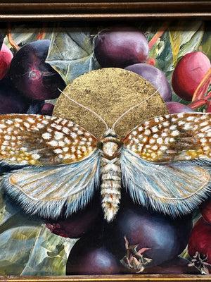 "Light Needs Night" Netted Tortrix Moth Painting