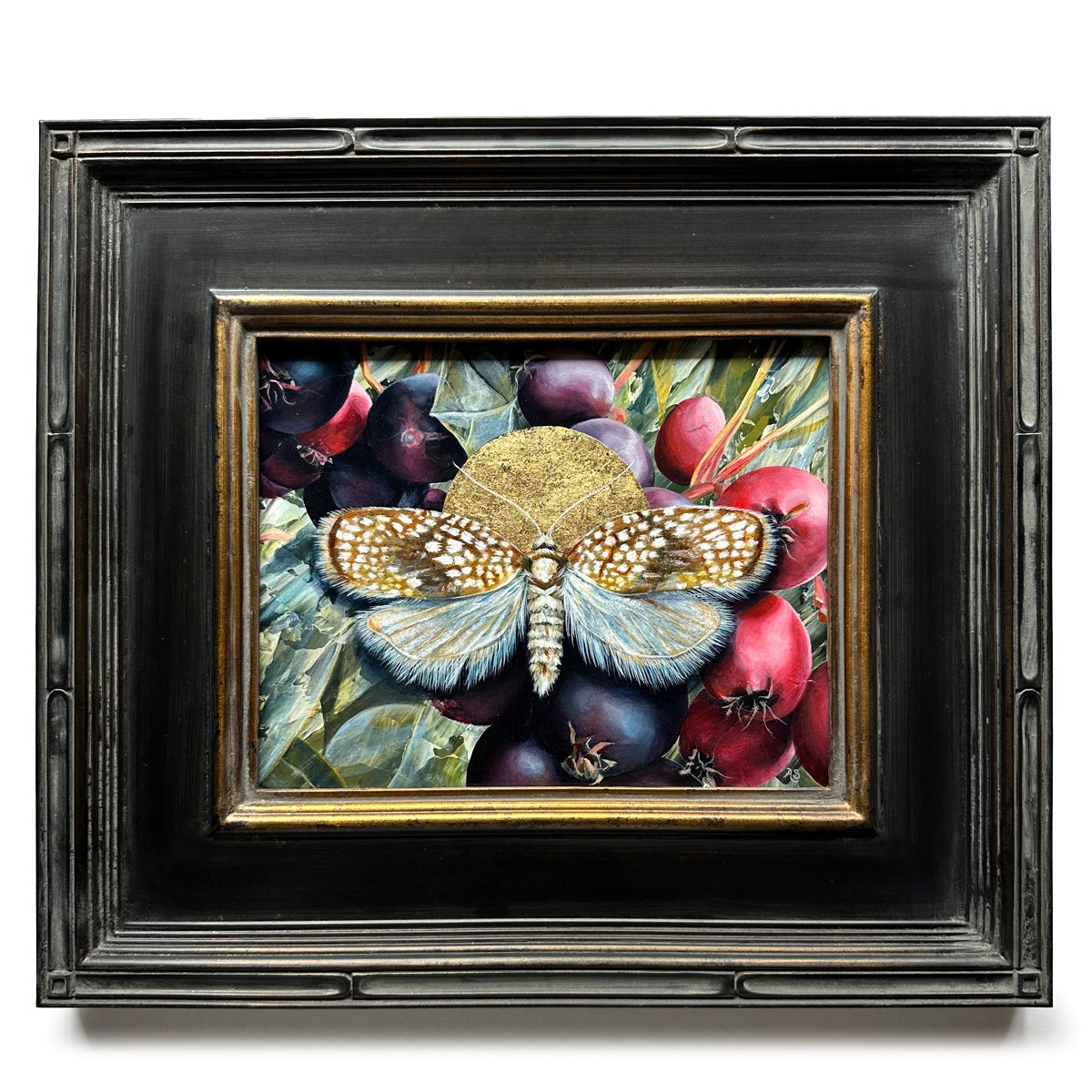 "Light Needs Night" Netted Tortrix Moth Painting