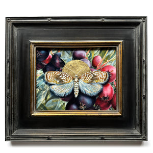 "Light Needs Night" Netted Tortrix Moth Painting