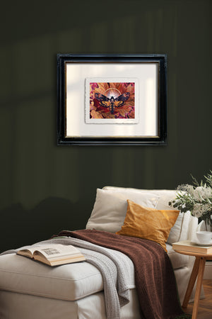 limited edition deaths head moth art print frame idea