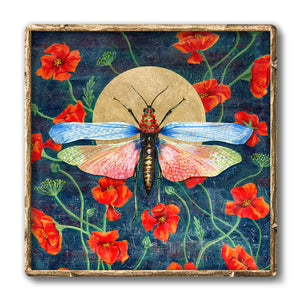rainbow locust poppies art print frame