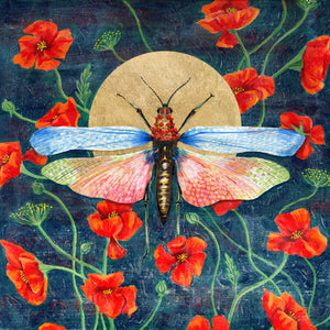 rainbow locust poppies art print