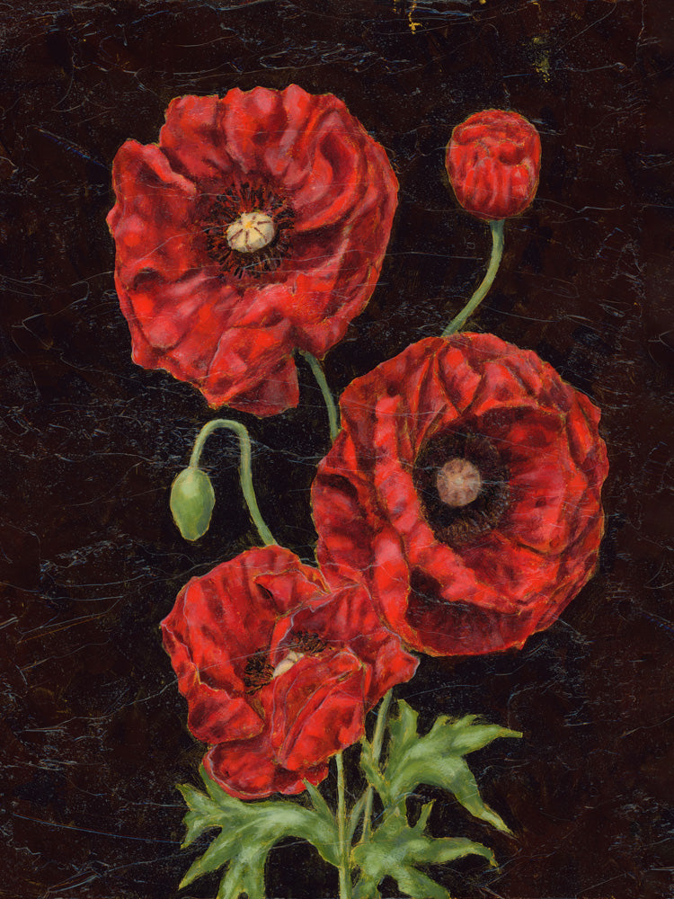 poppy art print 3x4