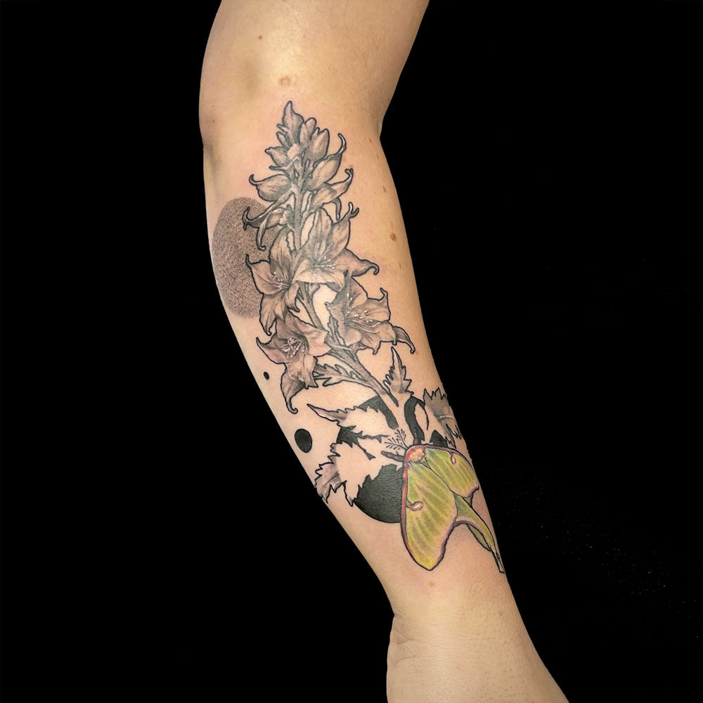 luna moth floral tattoo by Cass