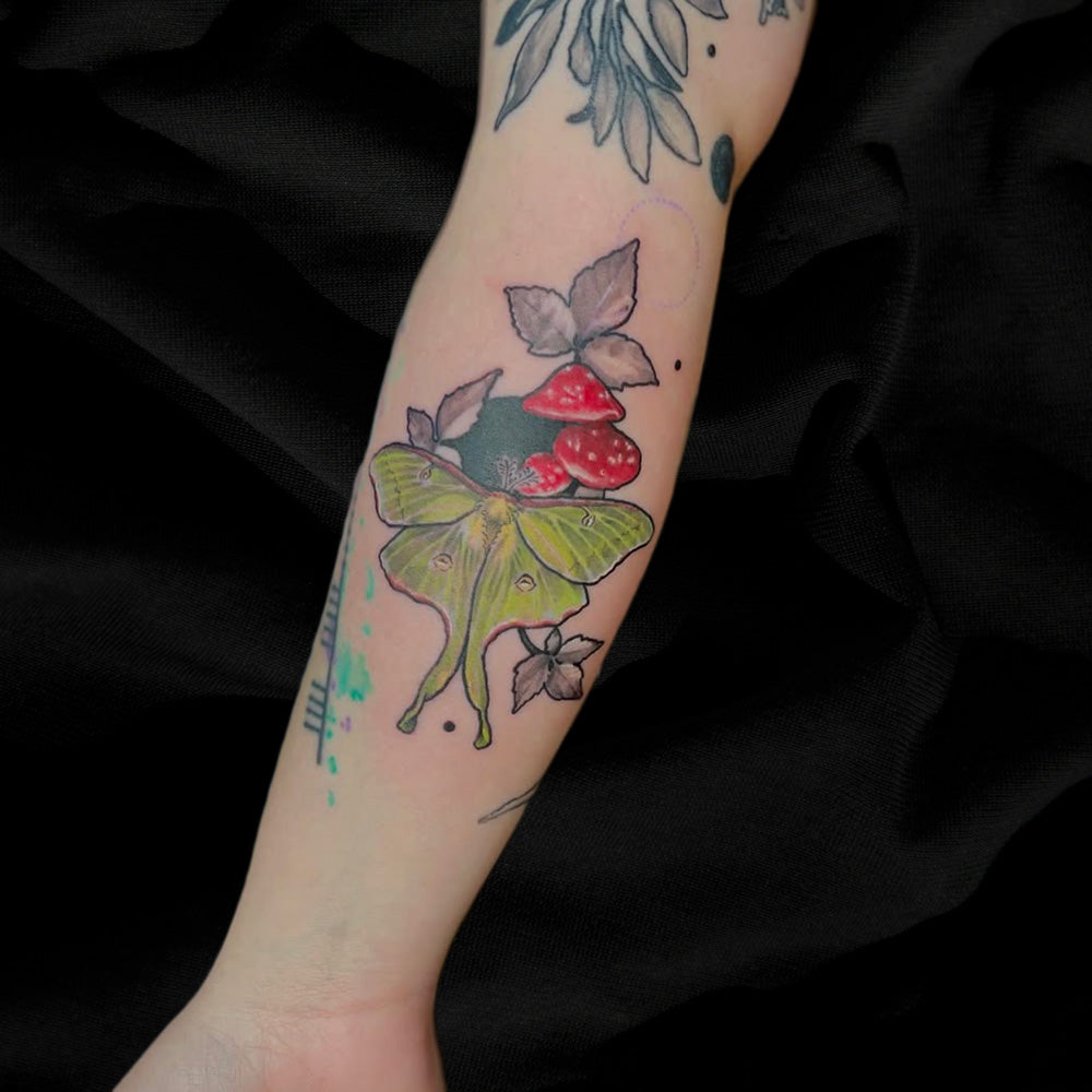 luna moth mushroom tattoo by Cass Brown
