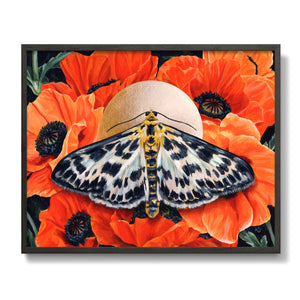 small magpie moth orange poppies art print in black frame