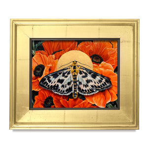 small magpie moth orange poppies gold leaf embellished canvas art print framed