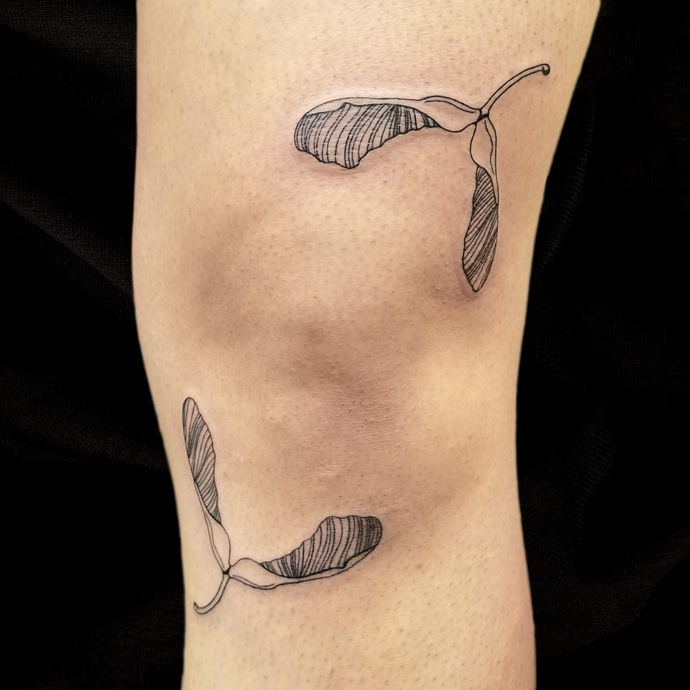 maple samara helicopter leaf knee tattoo by Lydia Pitts