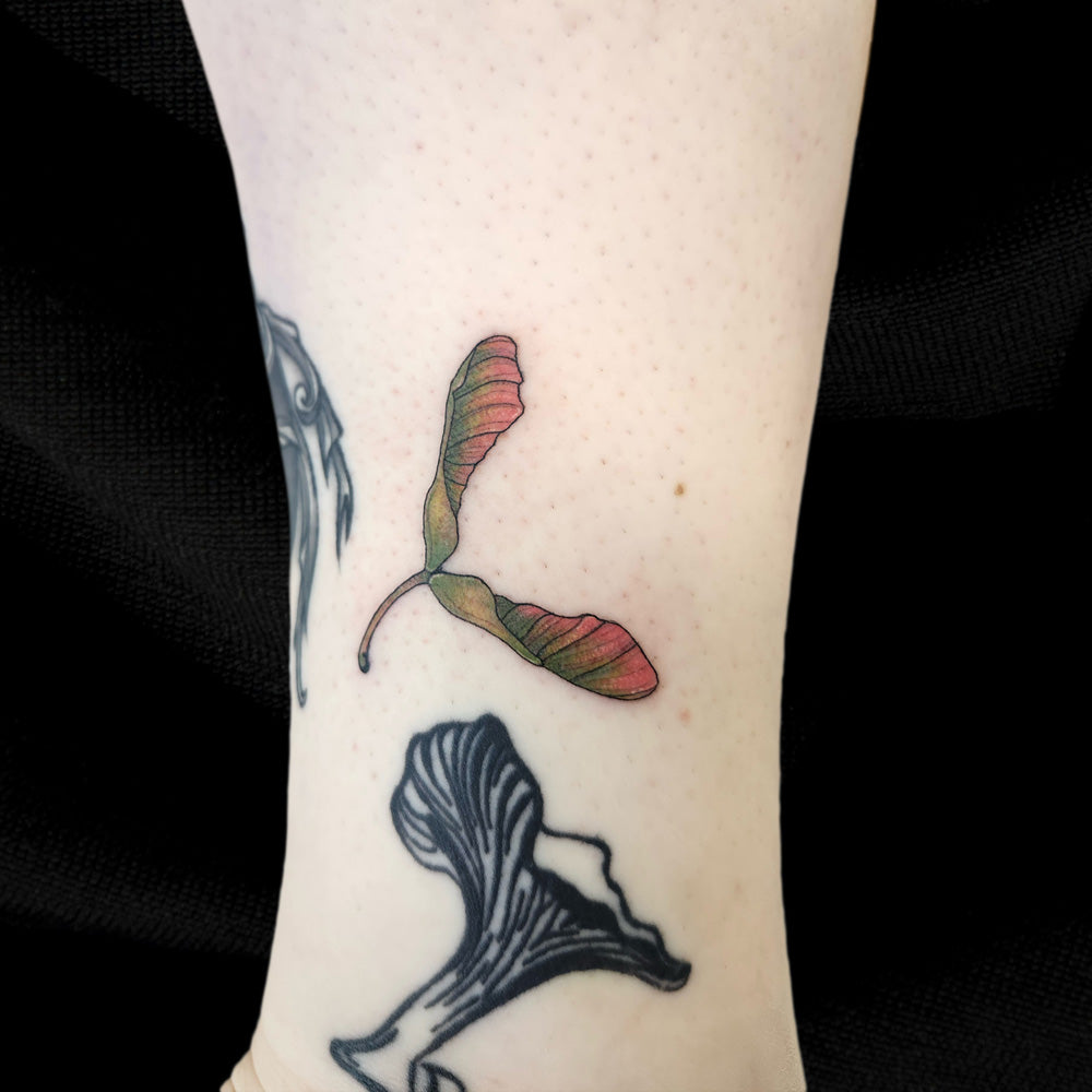 Helicopter seed tattoo maple samara tattoo by Lydia Pitts